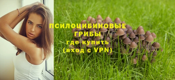 винт Балабаново