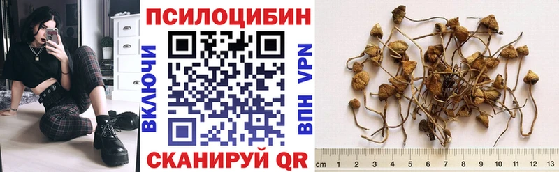 Псилоцибиновые грибы Psilocybine cubensis Старая Русса