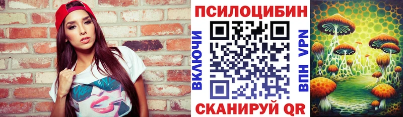 Купить  Старая Русса  Псилоцибиновые грибы MAGIC MUSHROOMS 