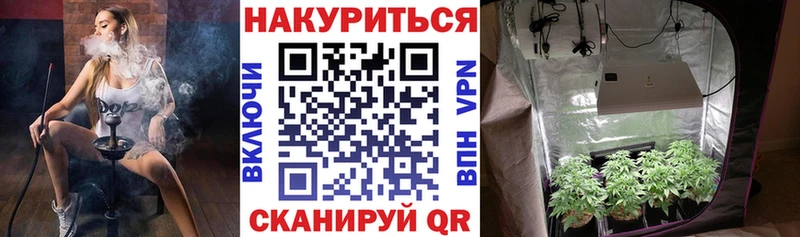 Конопля LSD WEED  Купить закладки  Старая Русса 